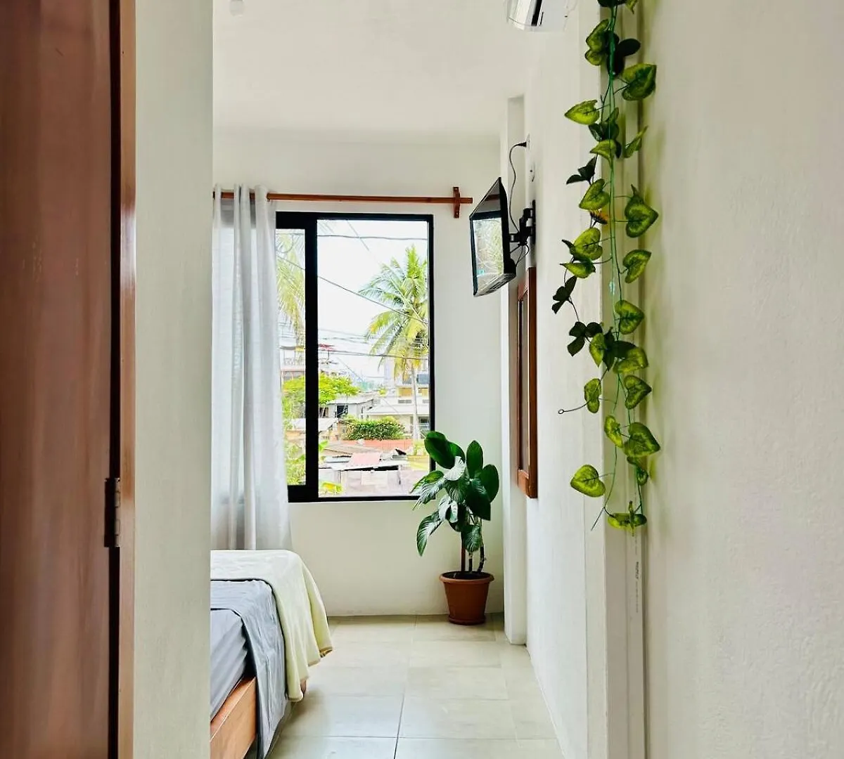 Apartment With Balcony And Access To Terrace Puerto Ayora
